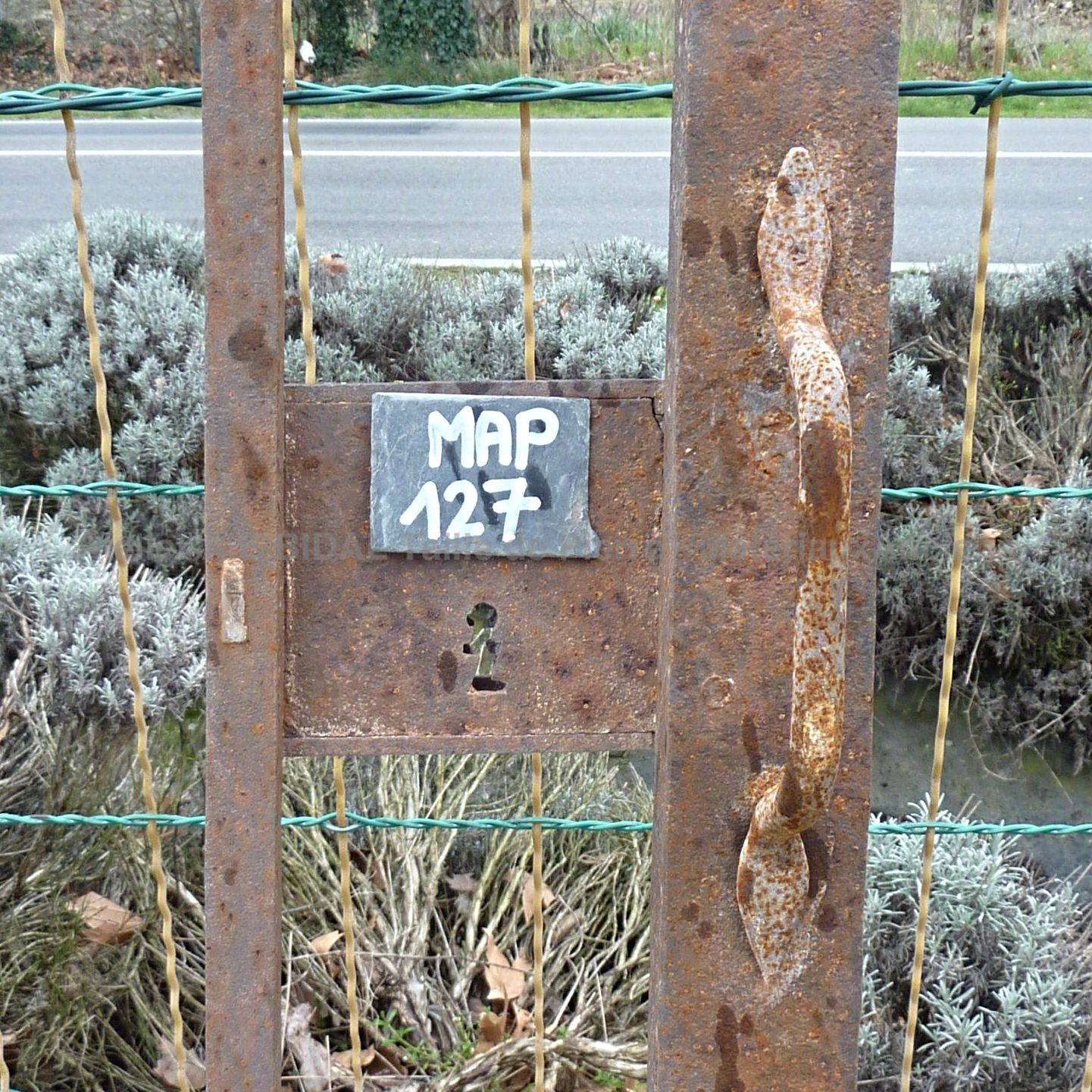 Beau portillon ancien réalisé par un ferronnier dans du fer forgé.