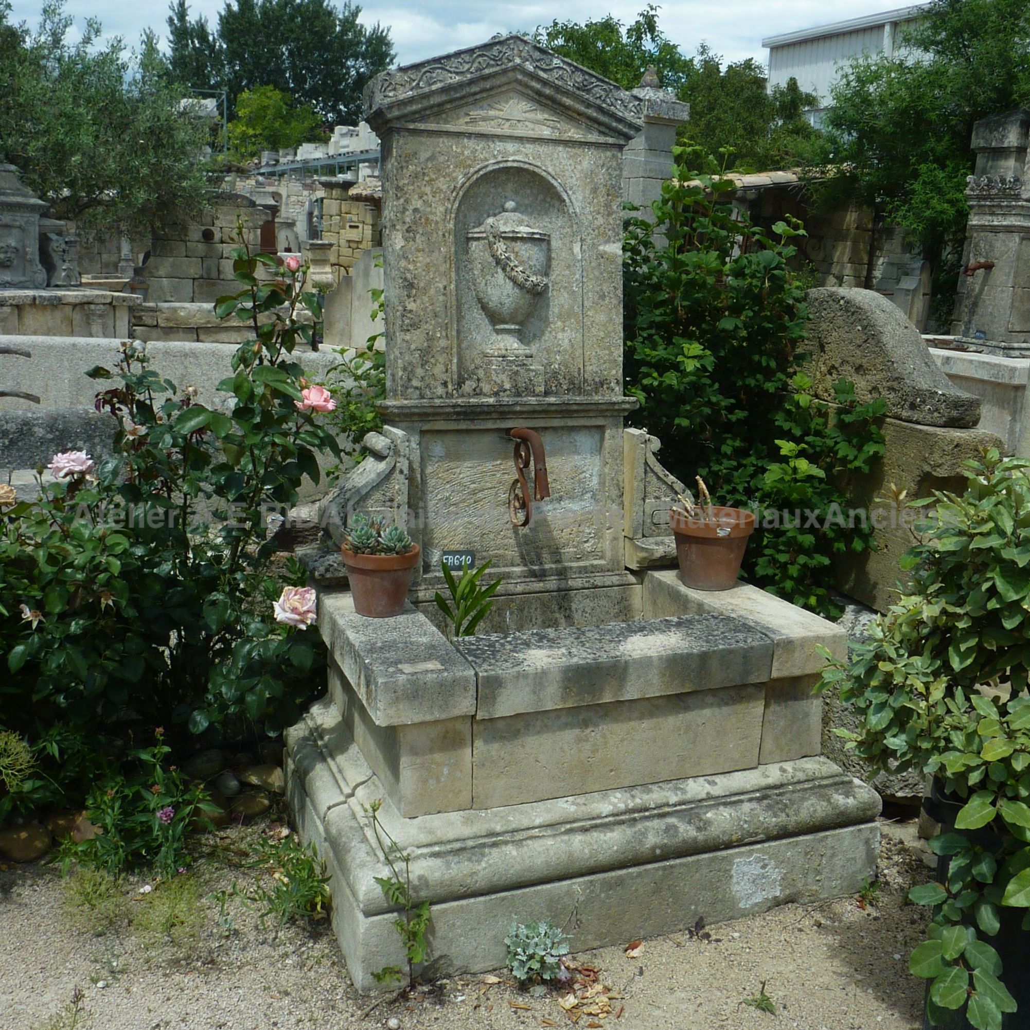 File:Aiguillère catalane 1.jpg - Wikimedia