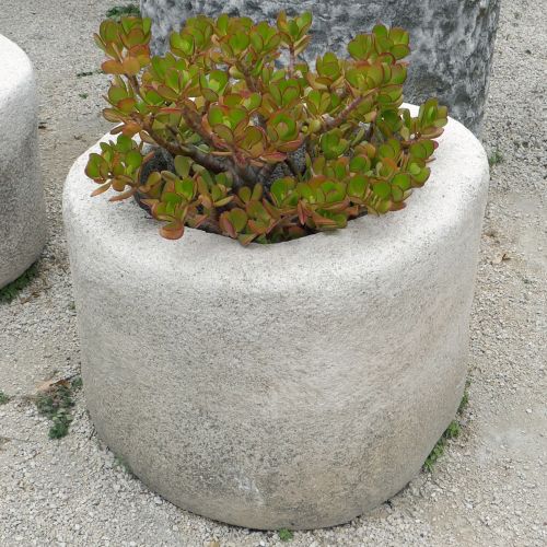 Bac circulaire : bac ancien en pierre de couleur blanchâtre pour pot de fleurs.