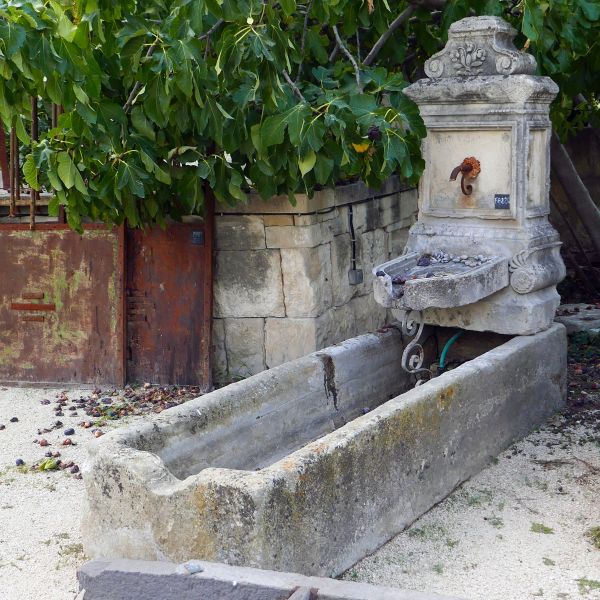 Grande fontaine murale avec bac ancien et fronton à rosace en fonte.