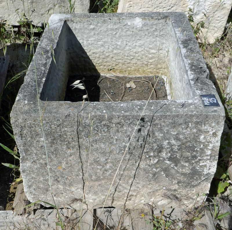 Bac en pierre dure naturelle - un bac rectangulaire pour arbuste, par exemple.
