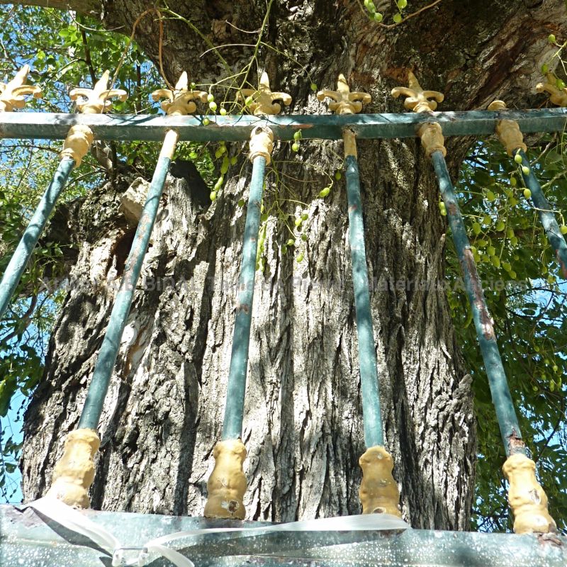 Joli détail de notre portail ancien en fer forgé : barreaux ronds avec décors en or.