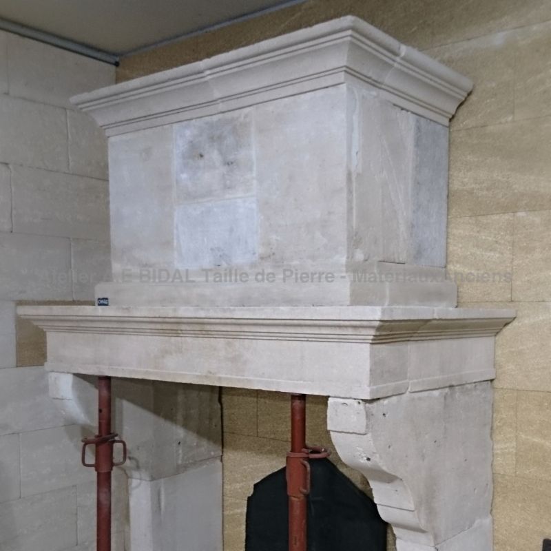 Antique Louis 14 fireplace - a superb fireplace with trumeau in real stone