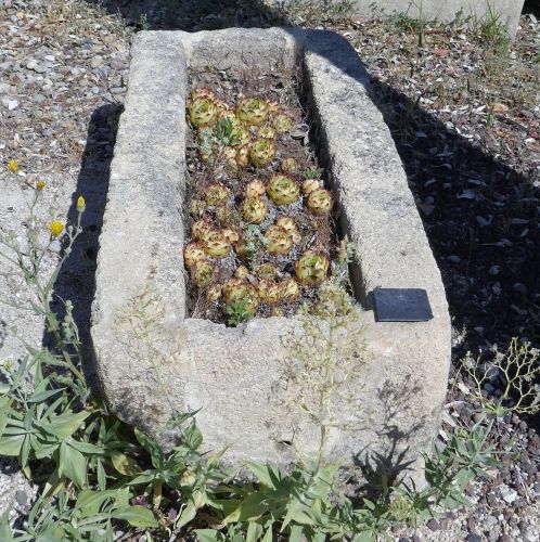 Rustic stone planter - Antique stone trough for sale at Alain Bidal Antique Materials in Provence.