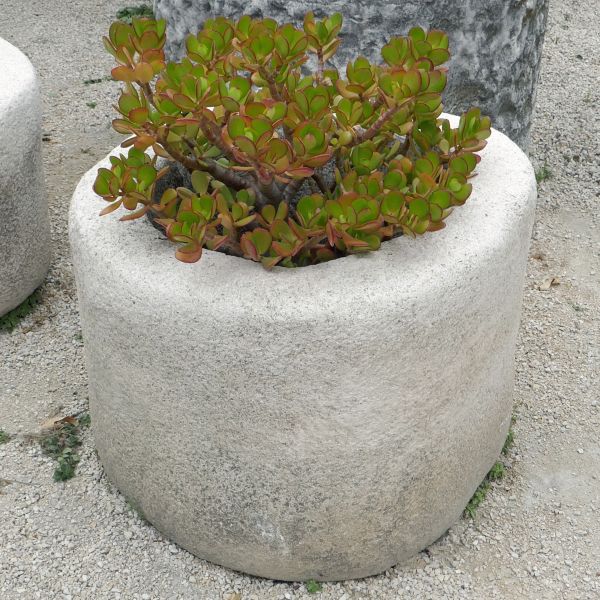 Bac circulaire : bac ancien en pierre de couleur blanchâtre pour pot de fleurs.