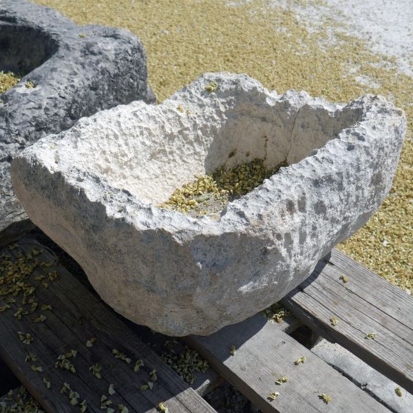 Ancienne auge en pierre brute : petit bac ancien en pierre par Atelier Alain BIDAL