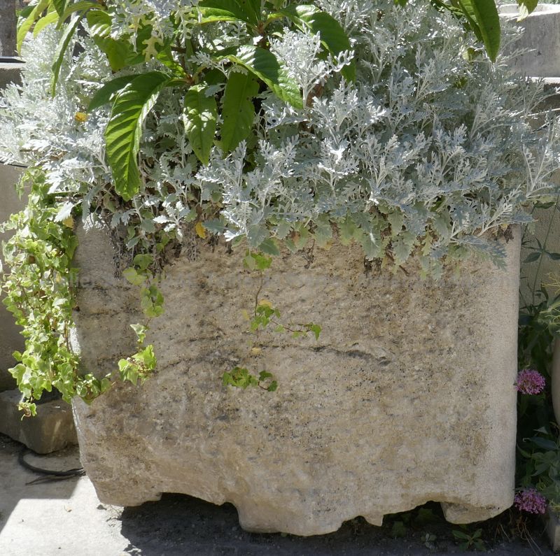 Old white stone trough - a stone basin that can be used as a stone planter.